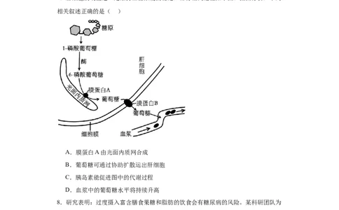 第八单元生命活动的调节（测试卷）（原卷版)_2024年新高考资料_3.2024专项复习_备战2024年高考生物一轮复习重难点专项突破