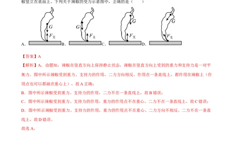 专题05受力分析（解析版）_8、物理总复习_8.中考物理总复习_2023年中考复习资料_二轮复习_备战2023年中考物理二轮四大模块针对集训（全国通用）_模块一力学