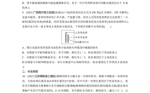 第5单元　课时练9　与性染色体相关的基因位置的分析与判断题型突破_2024年新高考资料_1.2024一轮复习_2024年高考生物一轮复习讲义（新人教版）_学生版在此文件夹_一轮复习69练
