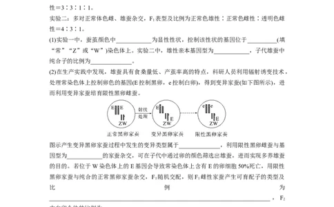第5单元　课时练9　与性染色体相关的基因位置的分析与判断题型突破_2024年新高考资料_1.2024一轮复习_2024年高考生物一轮复习讲义（新人教版）_学生版在此文件夹_一轮复习69练