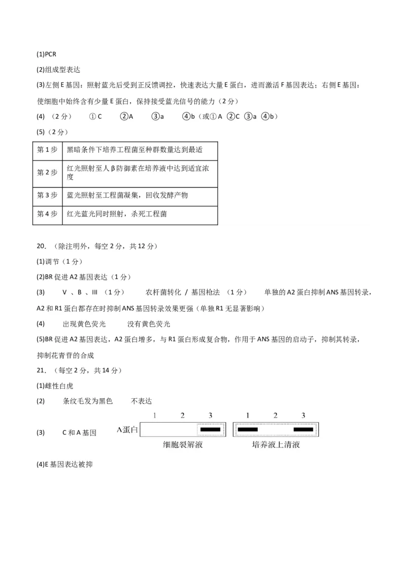 黄金卷02（参考答案）-赢在高考&middot;黄金8卷备战2024年高考生物模拟卷（北京专用）_2024年新高考资料_4.2024高考模拟预测试卷