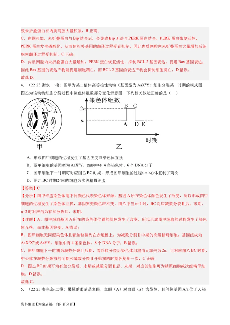 专题03细胞的生命历程（分层练）（解析版）_新高考复习资料_2024年新高考复习资料_二轮复习资料_高频考点解密2024年高考生物二轮复习高频考点追踪与预测（新高考专用）_分层练
