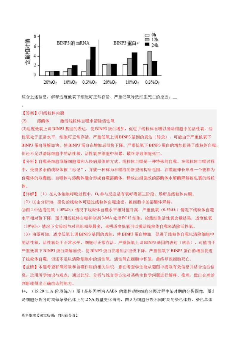 专题03细胞的生命历程（分层练）（解析版）_新高考复习资料_2024年新高考复习资料_二轮复习资料_高频考点解密2024年高考生物二轮复习高频考点追踪与预测（新高考专用）_分层练