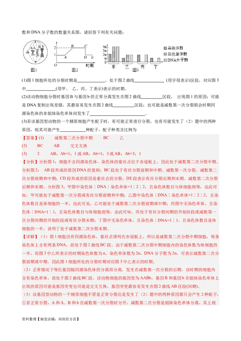 专题03细胞的生命历程（分层练）（解析版）_新高考复习资料_2024年新高考复习资料_二轮复习资料_高频考点解密2024年高考生物二轮复习高频考点追踪与预测（新高考专用）_分层练