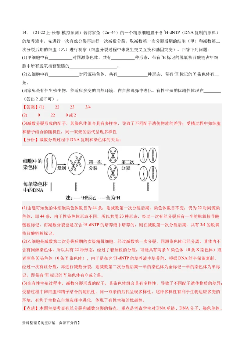 专题03细胞的生命历程（分层练）（解析版）_新高考复习资料_2024年新高考复习资料_二轮复习资料_高频考点解密2024年高考生物二轮复习高频考点追踪与预测（新高考专用）_分层练