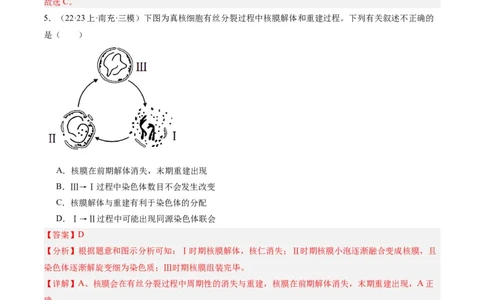专题03细胞的生命历程（分层练）（解析版）_新高考复习资料_2024年新高考复习资料_二轮复习资料_高频考点解密2024年高考生物二轮复习高频考点追踪与预测（新高考专用）_分层练