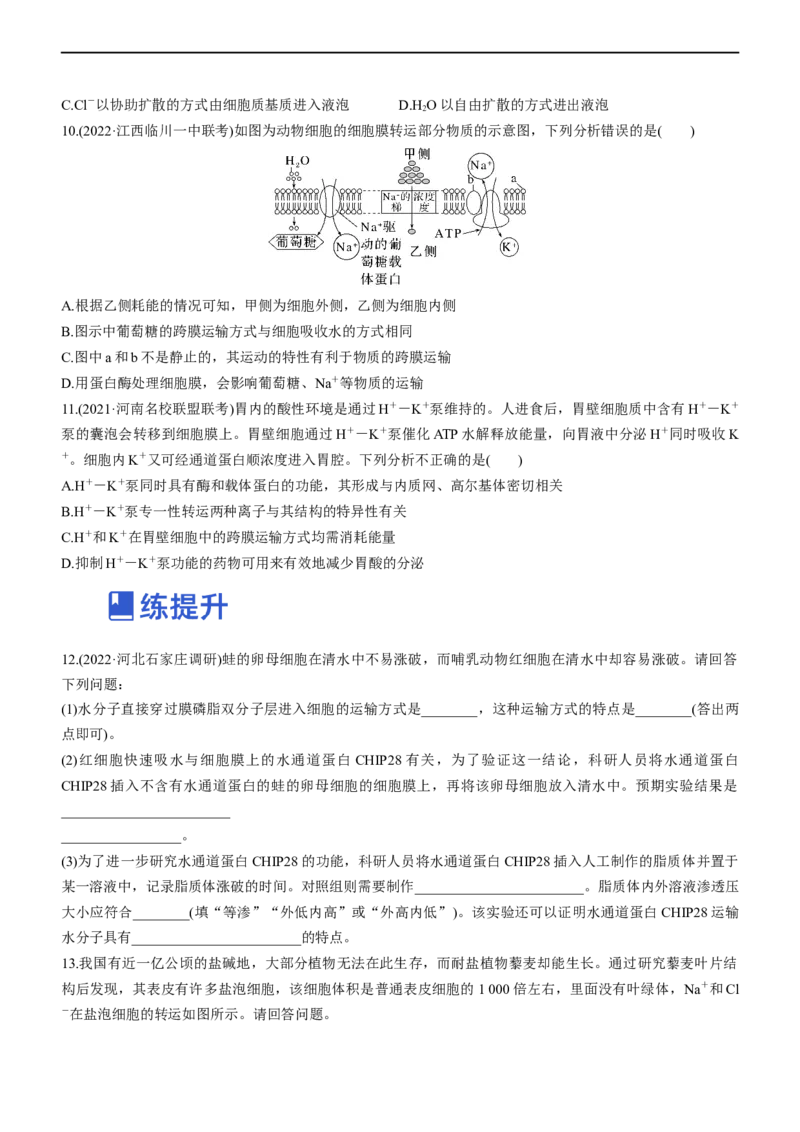 专题03细胞的物质输入和输出（练）-2023年高考生物二轮复习讲练测（全国通用）（原卷版）_通用版（老高考）复习资料_2023年复习资料_二轮复习