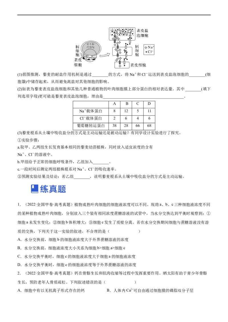 专题03细胞的物质输入和输出（练）-2023年高考生物二轮复习讲练测（全国通用）（原卷版）_通用版（老高考）复习资料_2023年复习资料_二轮复习