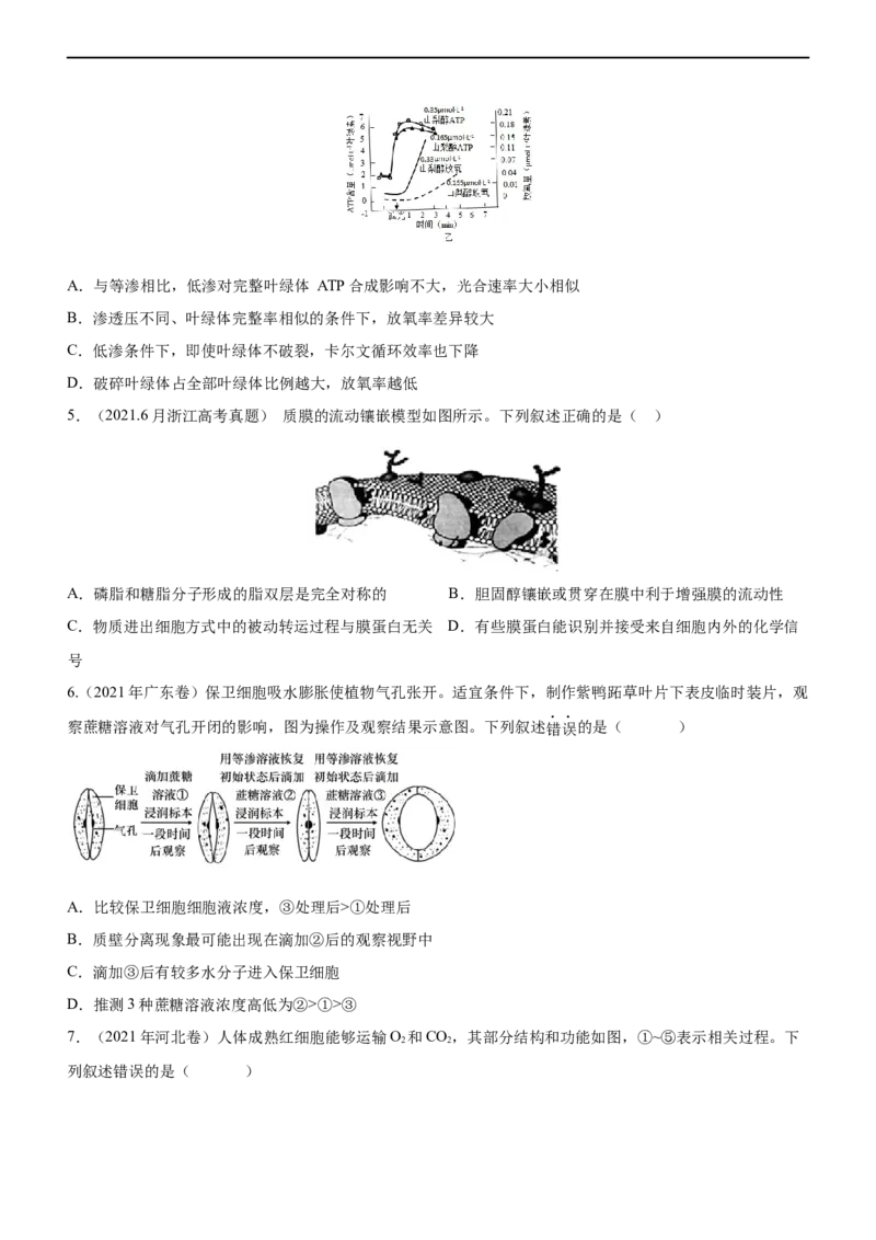 专题03细胞的物质输入和输出（练）-2023年高考生物二轮复习讲练测（全国通用）（原卷版）_通用版（老高考）复习资料_2023年复习资料_二轮复习