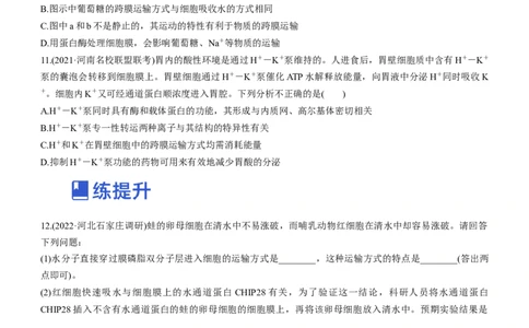 专题03细胞的物质输入和输出（练）-2023年高考生物二轮复习讲练测（全国通用）（原卷版）_通用版（老高考）复习资料_2023年复习资料_二轮复习