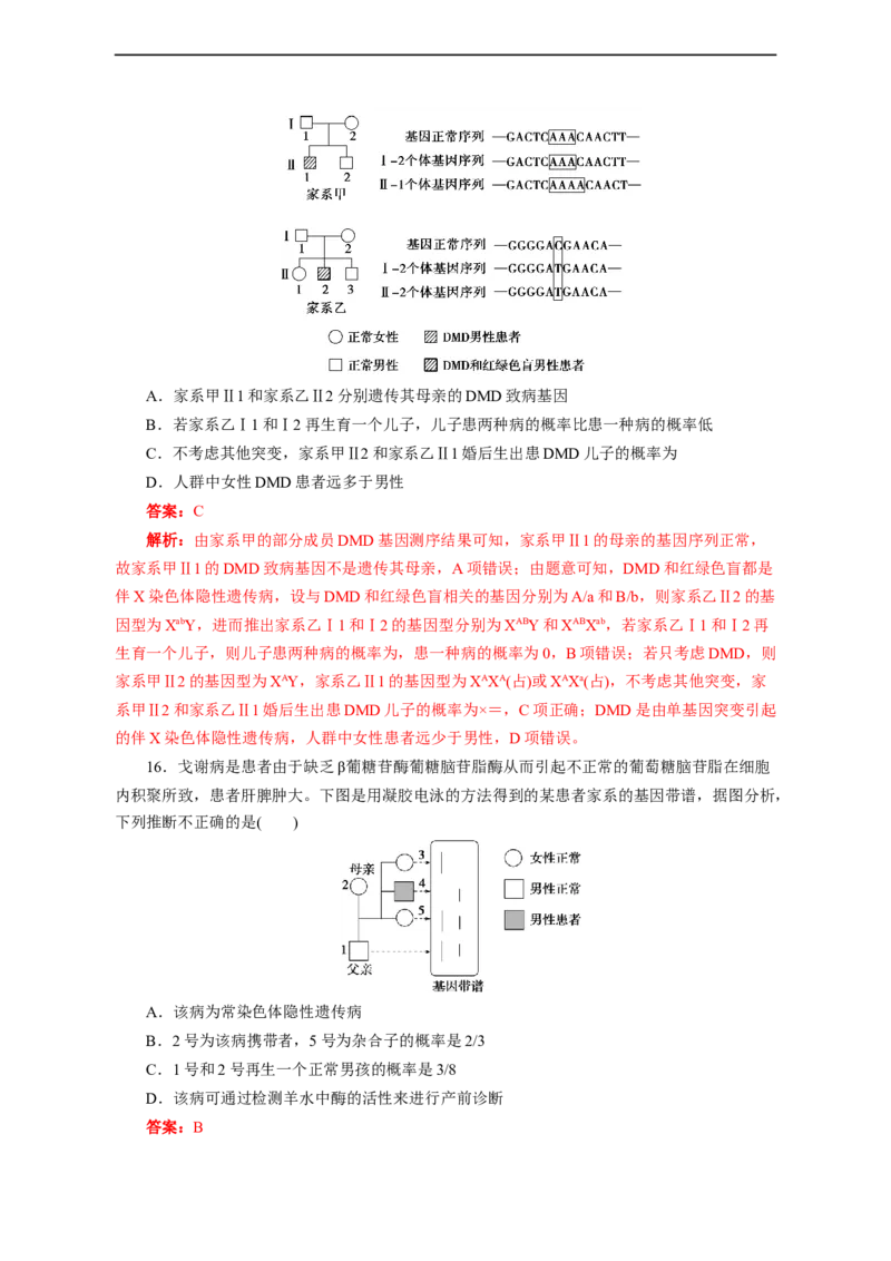 专题08伴性遗传和人类遗传病（测试卷）-2023年高考生物二轮复习讲练测（全国通用）（解析版）_通用版（老高考）复习资料_2023年复习资料_二轮复习