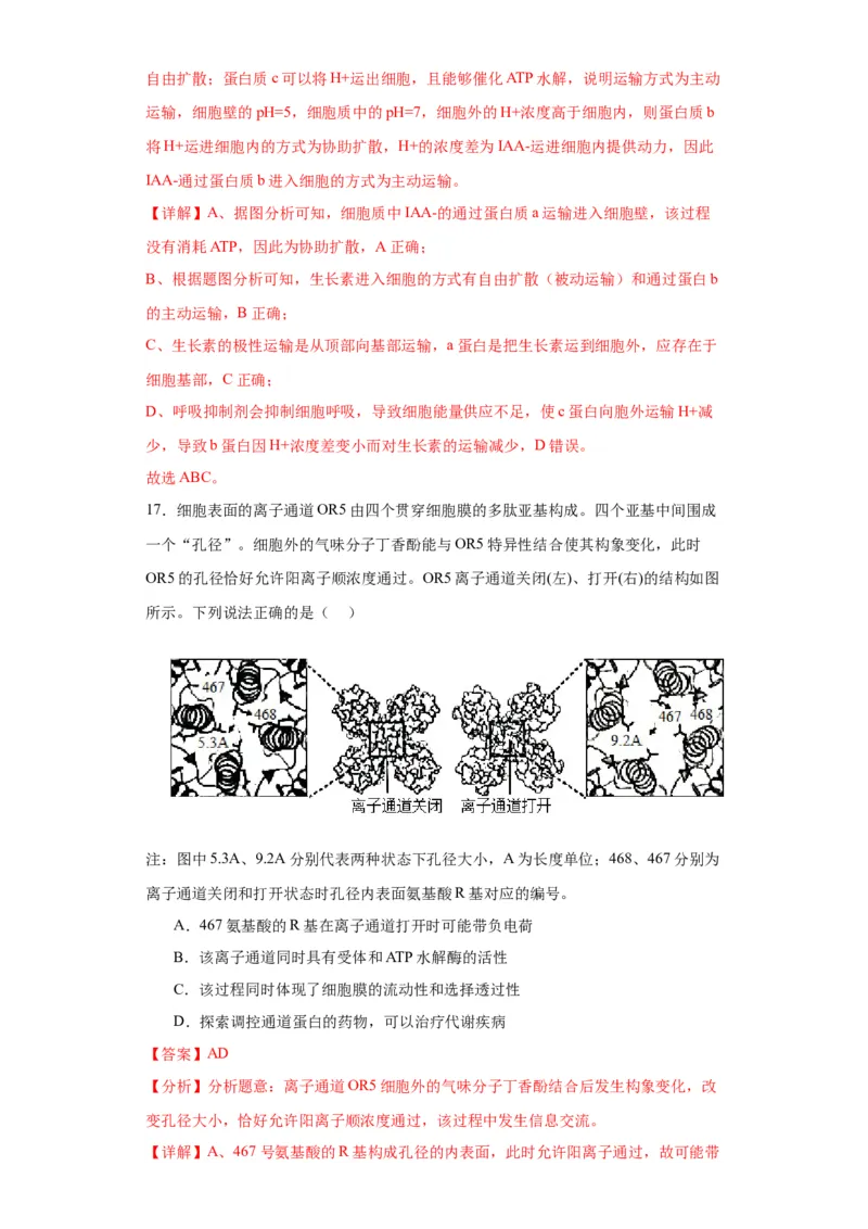 第二单元细胞的基本结构（测试卷）（解析版)_2024年新高考资料_3.2024专项复习_备战2024年高考生物一轮复习重难点专项突破