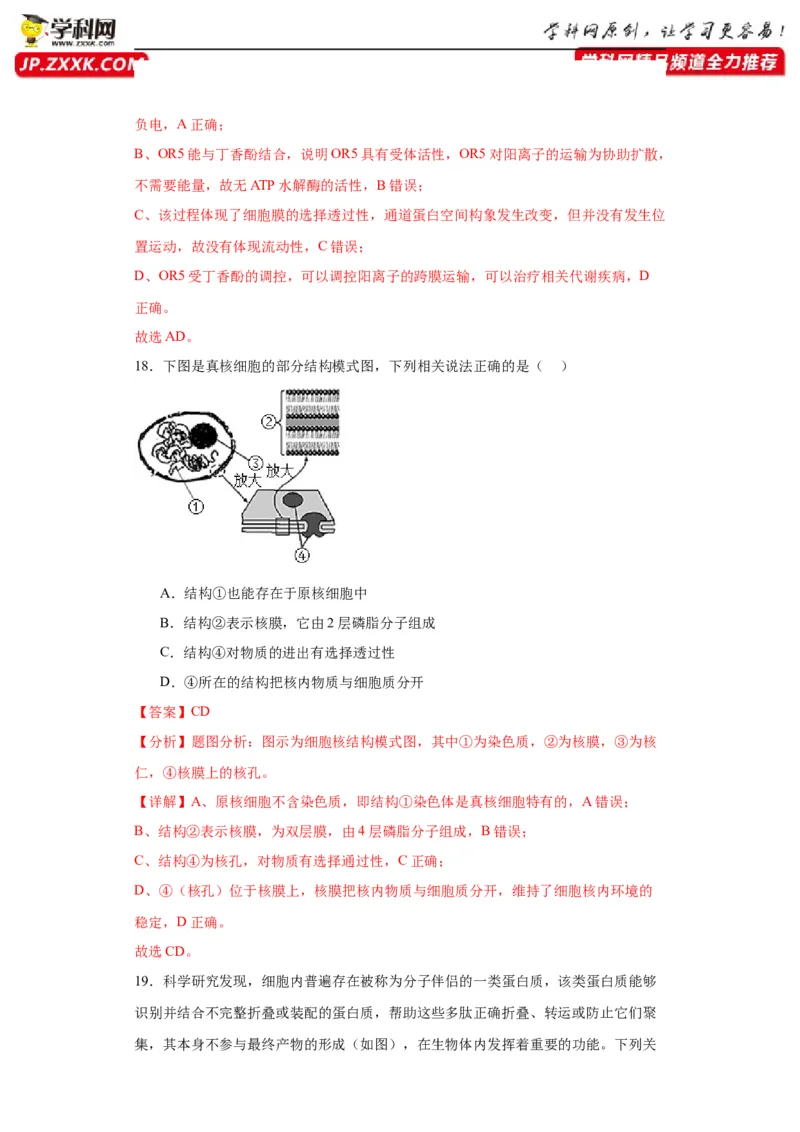 第二单元细胞的基本结构（测试卷）（解析版)_2024年新高考资料_3.2024专项复习_备战2024年高考生物一轮复习重难点专项突破