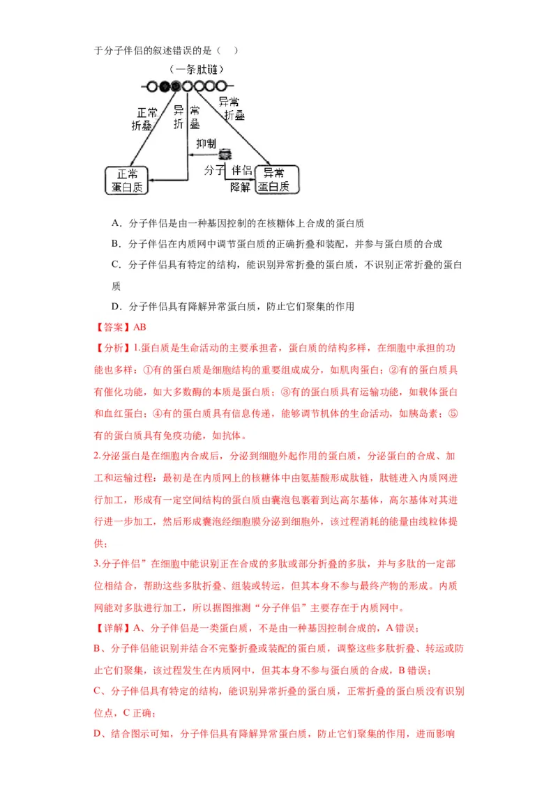 第二单元细胞的基本结构（测试卷）（解析版)_2024年新高考资料_3.2024专项复习_备战2024年高考生物一轮复习重难点专项突破