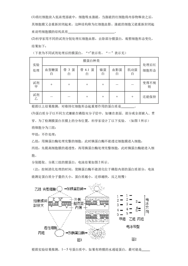 第二单元细胞的基本结构（测试卷）（解析版)_2024年新高考资料_3.2024专项复习_备战2024年高考生物一轮复习重难点专项突破