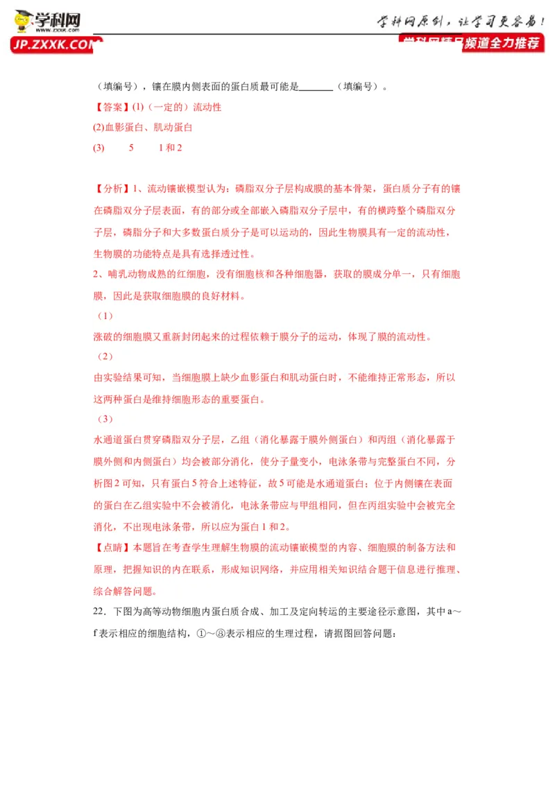 第二单元细胞的基本结构（测试卷）（解析版)_2024年新高考资料_3.2024专项复习_备战2024年高考生物一轮复习重难点专项突破