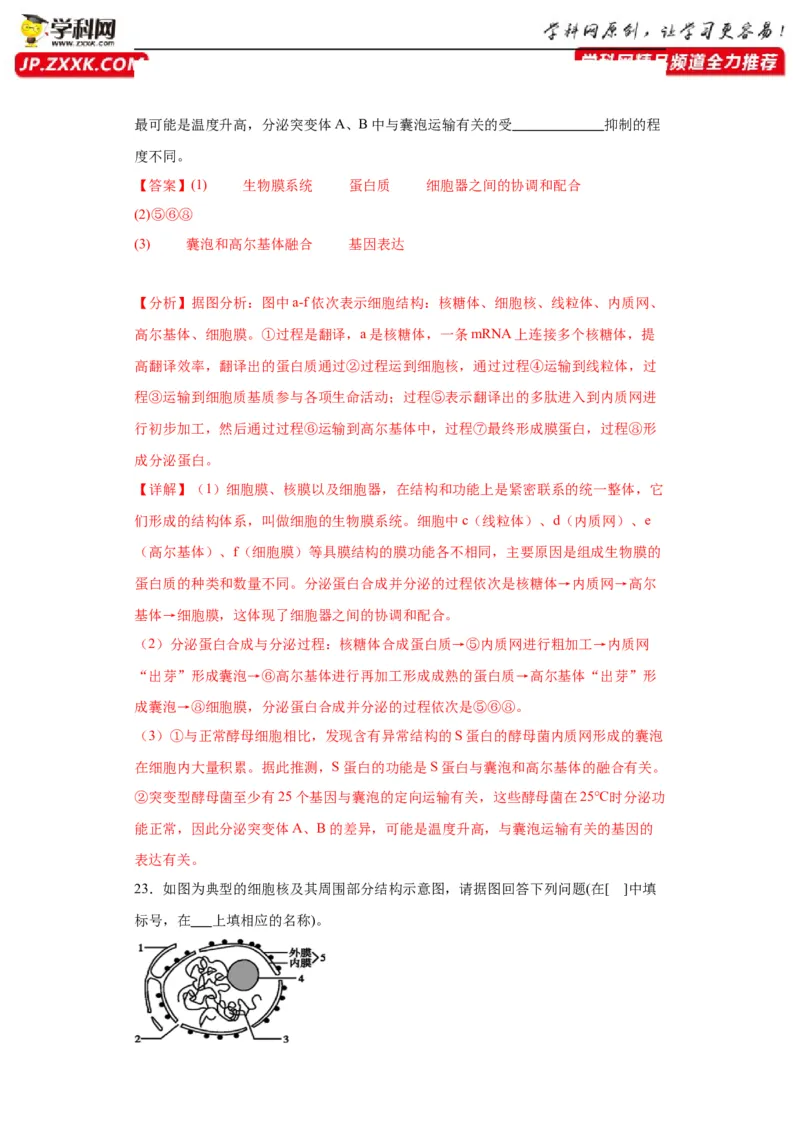 第二单元细胞的基本结构（测试卷）（解析版)_2024年新高考资料_3.2024专项复习_备战2024年高考生物一轮复习重难点专项突破