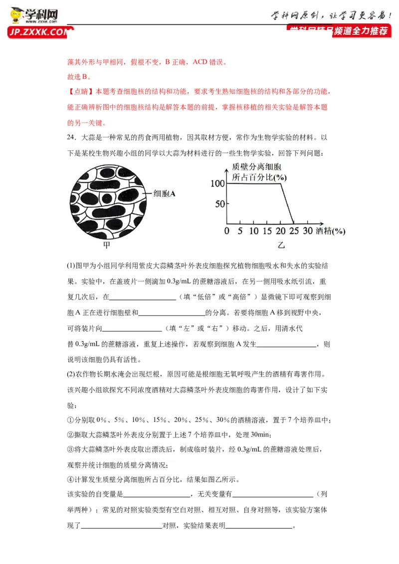 第二单元细胞的基本结构（测试卷）（解析版)_2024年新高考资料_3.2024专项复习_备战2024年高考生物一轮复习重难点专项突破