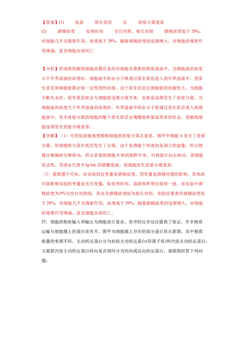第二单元细胞的基本结构（测试卷）（解析版)_2024年新高考资料_3.2024专项复习_备战2024年高考生物一轮复习重难点专项突破