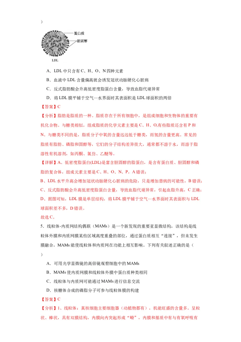 第二单元细胞的基本结构（测试卷）（解析版)_2024年新高考资料_3.2024专项复习_备战2024年高考生物一轮复习重难点专项突破
