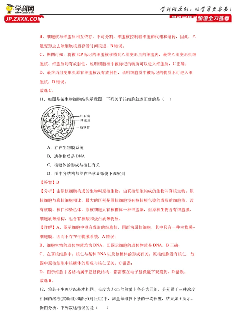 第二单元细胞的基本结构（测试卷）（解析版)_2024年新高考资料_3.2024专项复习_备战2024年高考生物一轮复习重难点专项突破