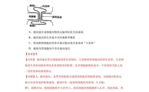 第二单元细胞的基本结构（测试卷）（解析版)_2024年新高考资料_3.2024专项复习_备战2024年高考生物一轮复习重难点专项突破