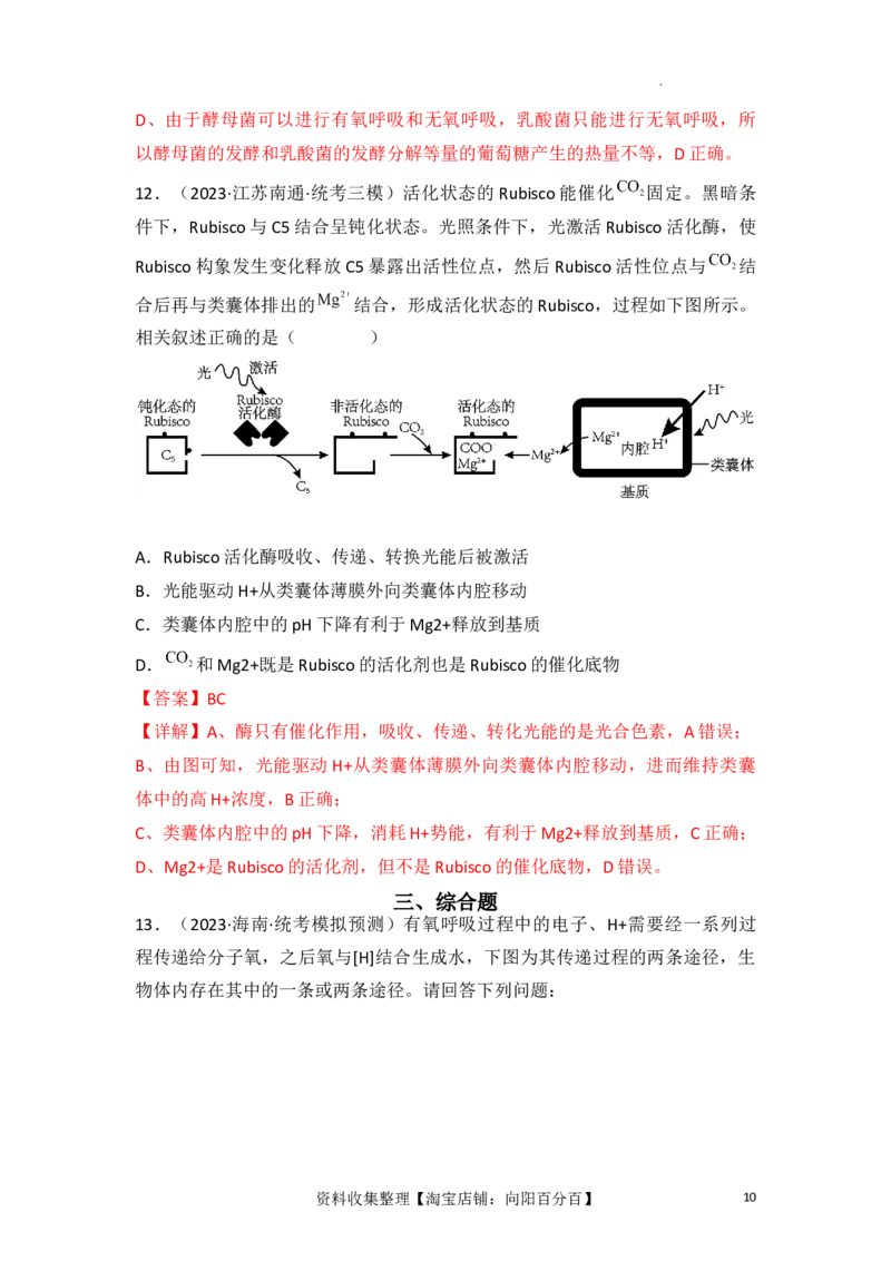 专题04细胞呼吸和光合作用（解析版）_新高考复习资料_2024年新高考复习资料_一轮复习资料_完备战2024年高考生物一轮复习重难点突破讲解与训练（新教材）