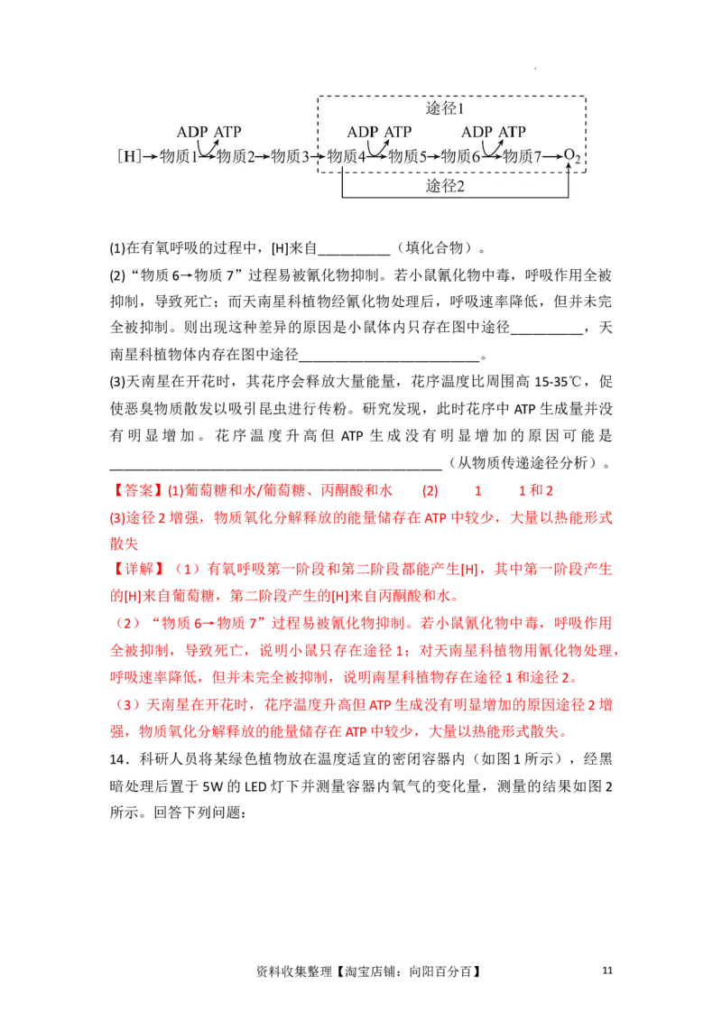 专题04细胞呼吸和光合作用（解析版）_新高考复习资料_2024年新高考复习资料_一轮复习资料_完备战2024年高考生物一轮复习重难点突破讲解与训练（新教材）