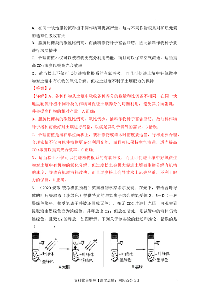 专题04细胞呼吸和光合作用（解析版）_新高考复习资料_2024年新高考复习资料_一轮复习资料_完备战2024年高考生物一轮复习重难点突破讲解与训练（新教材）