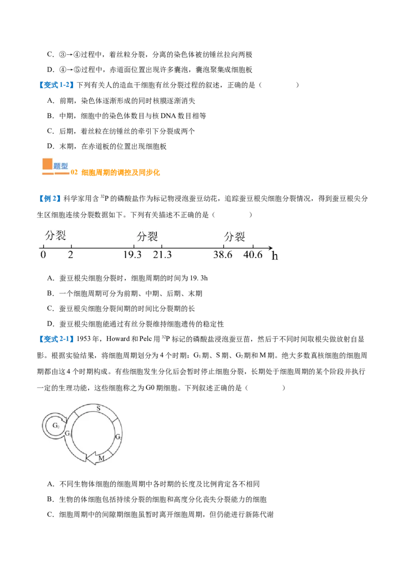 专题07细胞生命历程（7大题型）（原卷版）_2025年新高考资料_一轮复习_备战2025年高考生物一轮复习题型全覆盖（新高考通用）