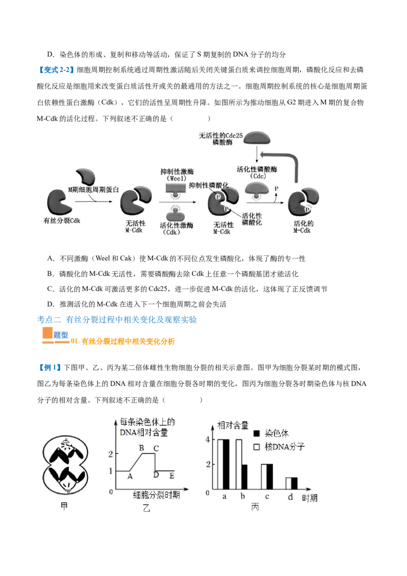 专题07细胞生命历程（7大题型）（原卷版）_2025年新高考资料_一轮复习_备战2025年高考生物一轮复习题型全覆盖（新高考通用）