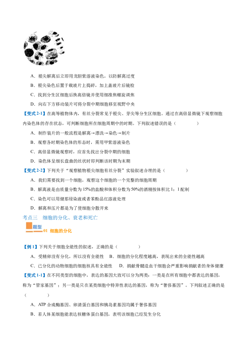 专题07细胞生命历程（7大题型）（原卷版）_2025年新高考资料_一轮复习_备战2025年高考生物一轮复习题型全覆盖（新高考通用）