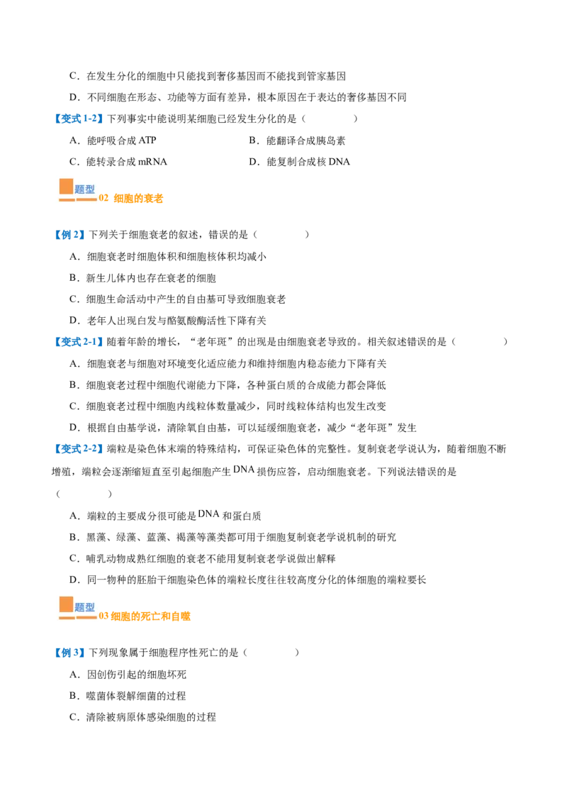 专题07细胞生命历程（7大题型）（原卷版）_2025年新高考资料_一轮复习_备战2025年高考生物一轮复习题型全覆盖（新高考通用）