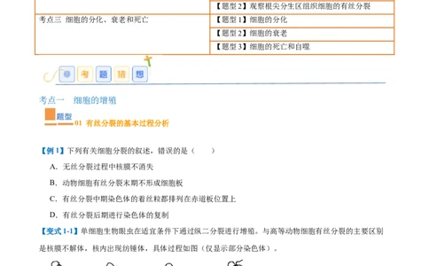 专题07细胞生命历程（7大题型）（原卷版）_2025年新高考资料_一轮复习_备战2025年高考生物一轮复习题型全覆盖（新高考通用）