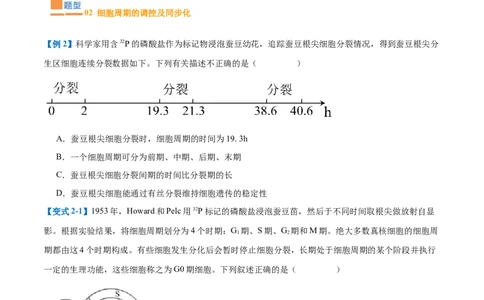 专题07细胞生命历程（7大题型）（原卷版）_2025年新高考资料_一轮复习_备战2025年高考生物一轮复习题型全覆盖（新高考通用）