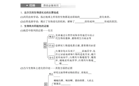 第7单元　第3课时　生物的进化_2024年新高考资料_1.2024一轮复习_2024年高考生物一轮复习讲义（新人教版）_学生版在此文件夹_大一轮复习讲义_第七单元　生物的变异和进化