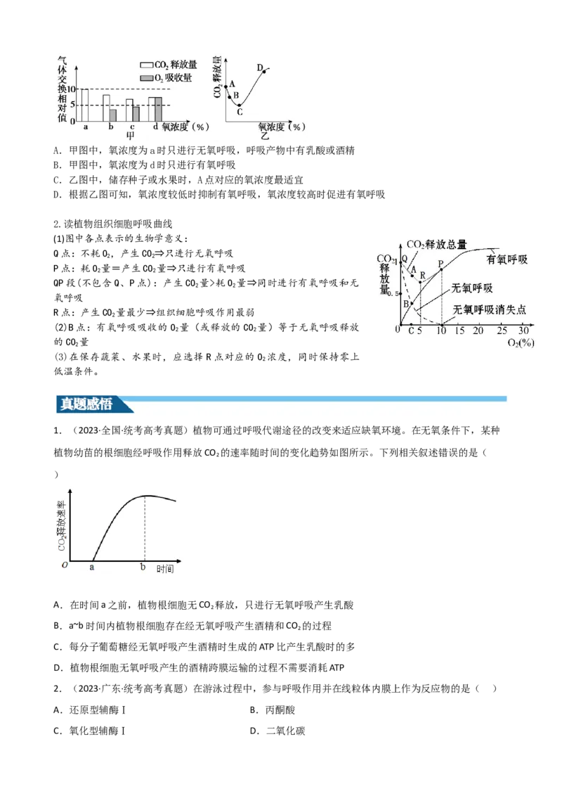 第9讲细胞呼吸（讲义）（学生版）_2024年新高考资料_1.2024一轮复习_2024年高考生物一轮复习讲练测（新教材新高考）