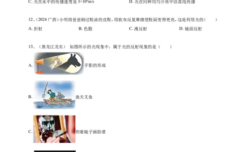 2024年中考物理分类汇编---光现象_8、物理总复习_2025年中考复习资料_备考20252024年中考物理真题分类汇编（原卷版+解析版）_2.光现象试卷（含解析）备考2025年中考2024物理真题分类汇编