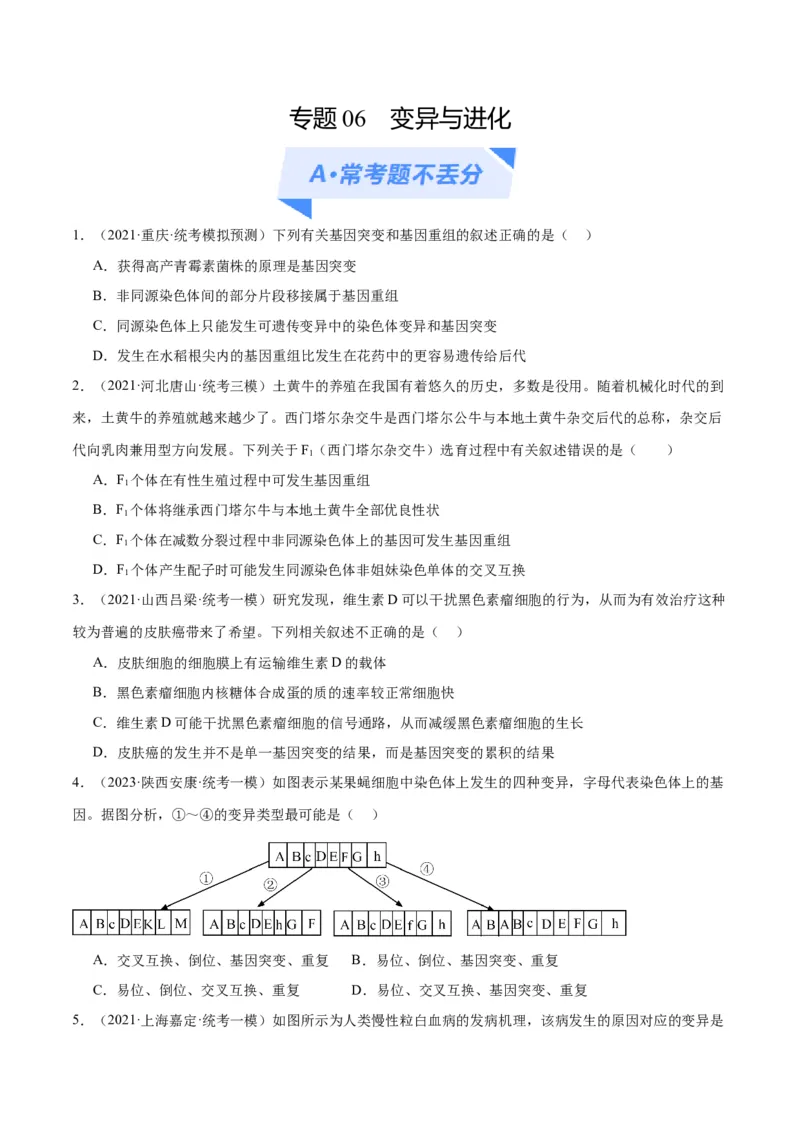 专题06变异与进化（分层练）（原卷版）_新高考复习资料_2024年新高考复习资料_二轮复习资料_高频考点解密2024年高考生物二轮复习高频考点追踪与预测（新高考专用）_分层练