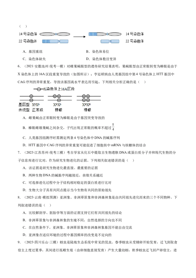 专题06变异与进化（分层练）（原卷版）_新高考复习资料_2024年新高考复习资料_二轮复习资料_高频考点解密2024年高考生物二轮复习高频考点追踪与预测（新高考专用）_分层练