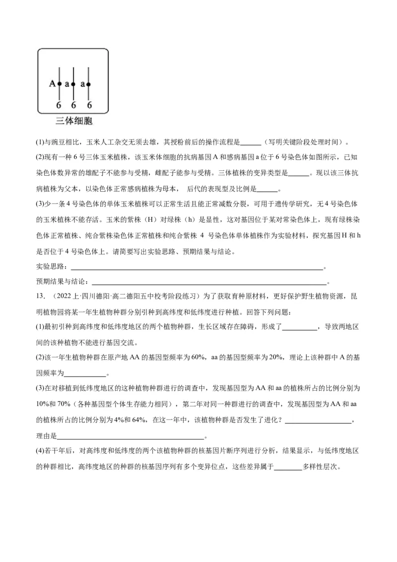 专题06变异与进化（分层练）（原卷版）_新高考复习资料_2024年新高考复习资料_二轮复习资料_高频考点解密2024年高考生物二轮复习高频考点追踪与预测（新高考专用）_分层练