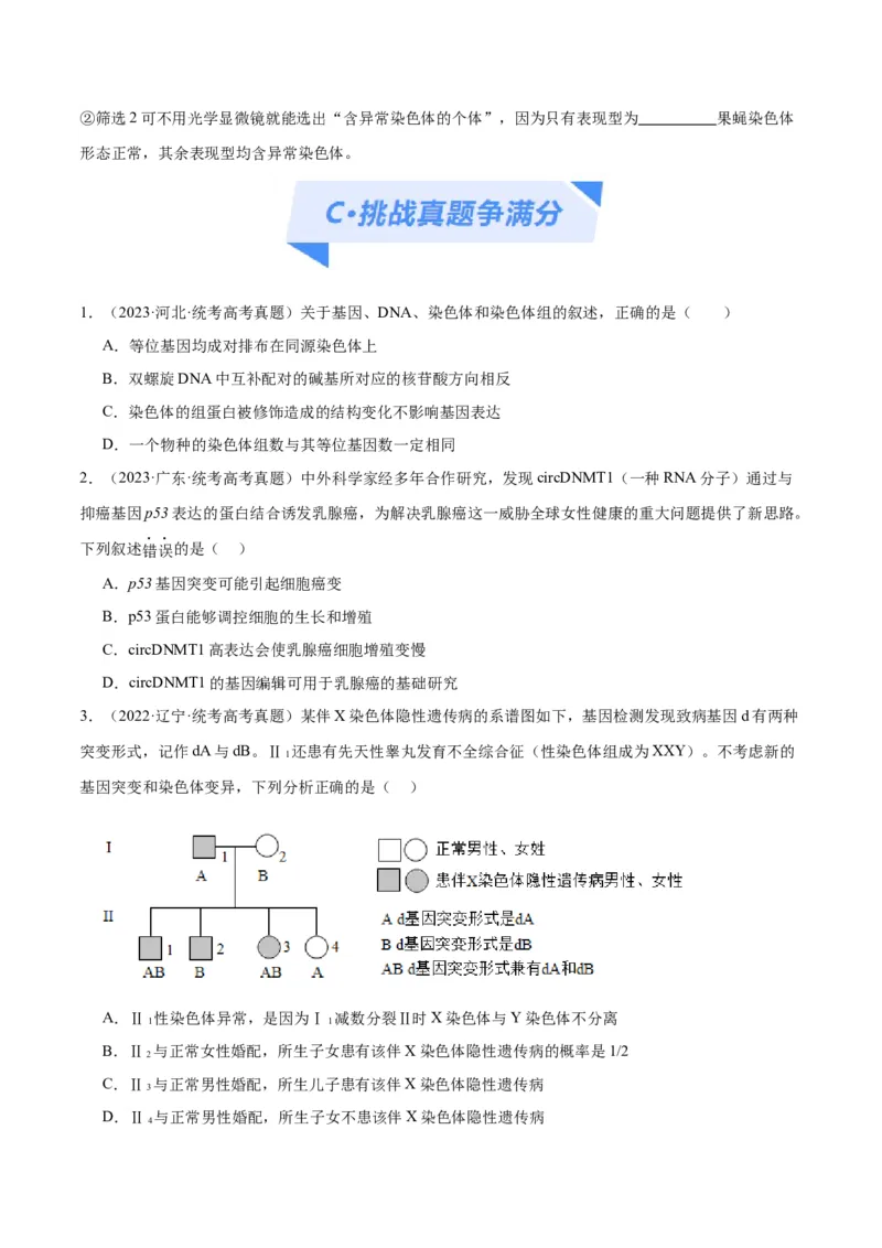 专题06变异与进化（分层练）（原卷版）_新高考复习资料_2024年新高考复习资料_二轮复习资料_高频考点解密2024年高考生物二轮复习高频考点追踪与预测（新高考专用）_分层练