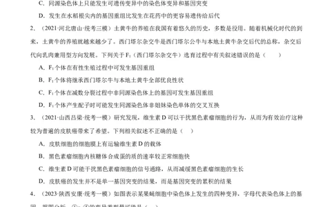 专题06变异与进化（分层练）（原卷版）_新高考复习资料_2024年新高考复习资料_二轮复习资料_高频考点解密2024年高考生物二轮复习高频考点追踪与预测（新高考专用）_分层练