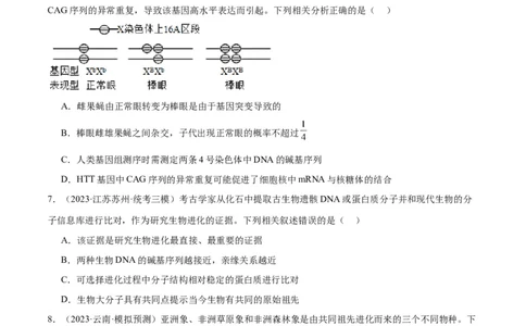 专题06变异与进化（分层练）（原卷版）_新高考复习资料_2024年新高考复习资料_二轮复习资料_高频考点解密2024年高考生物二轮复习高频考点追踪与预测（新高考专用）_分层练