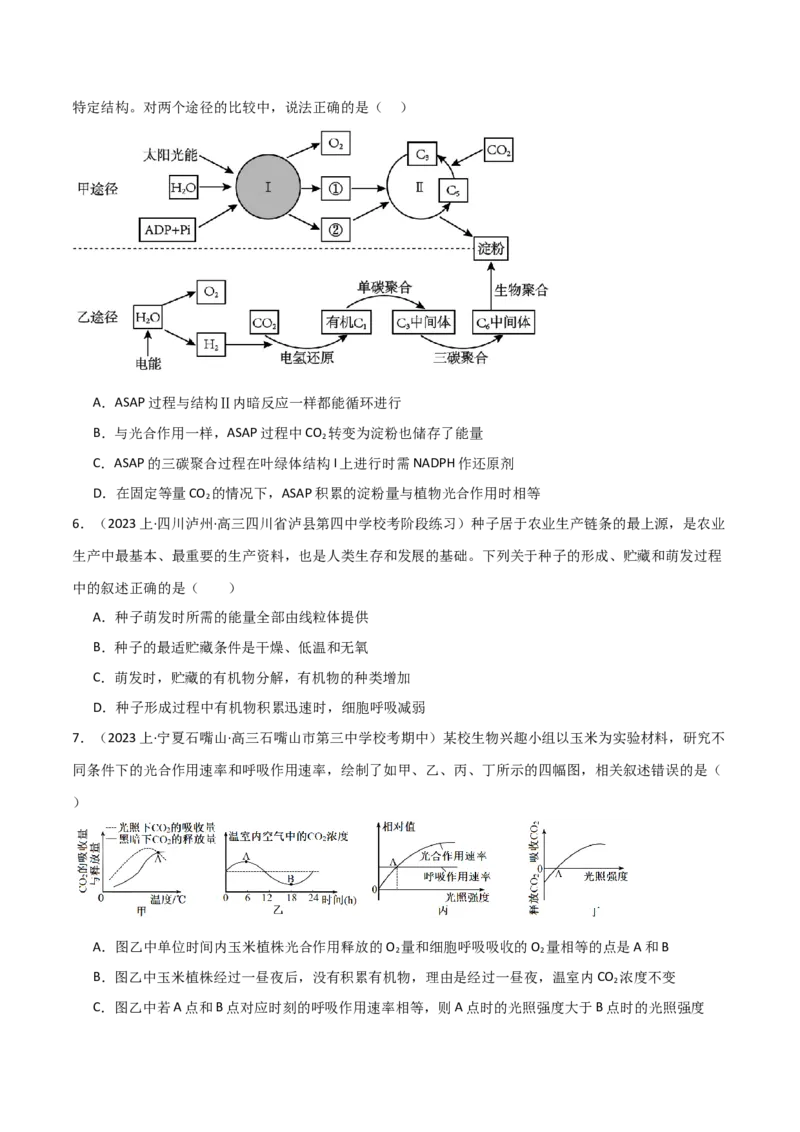 专题03细胞的能量供应和利用（原卷版）_新高考复习资料_2024年新高考复习资料_❤专项复习资料_2024年高考生物热点&middot;重点&middot;难点专练（新高考专用）