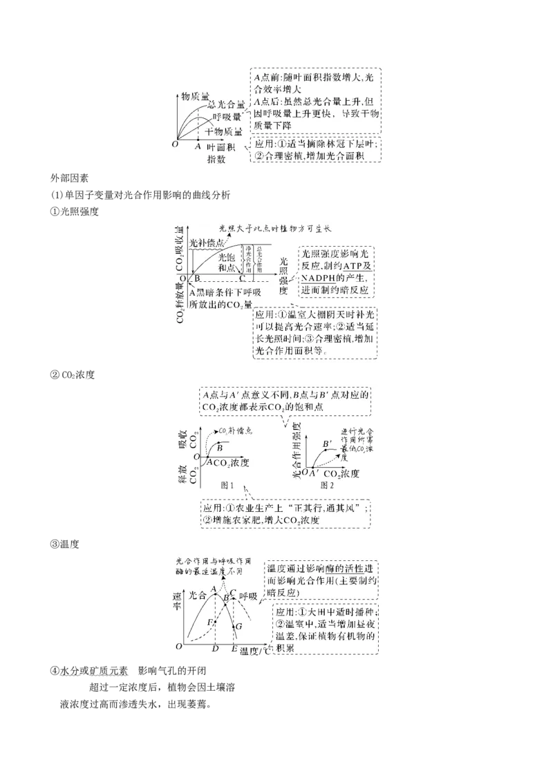 专题03细胞的能量供应和利用（原卷版）_新高考复习资料_2024年新高考复习资料_❤专项复习资料_2024年高考生物热点&middot;重点&middot;难点专练（新高考专用）