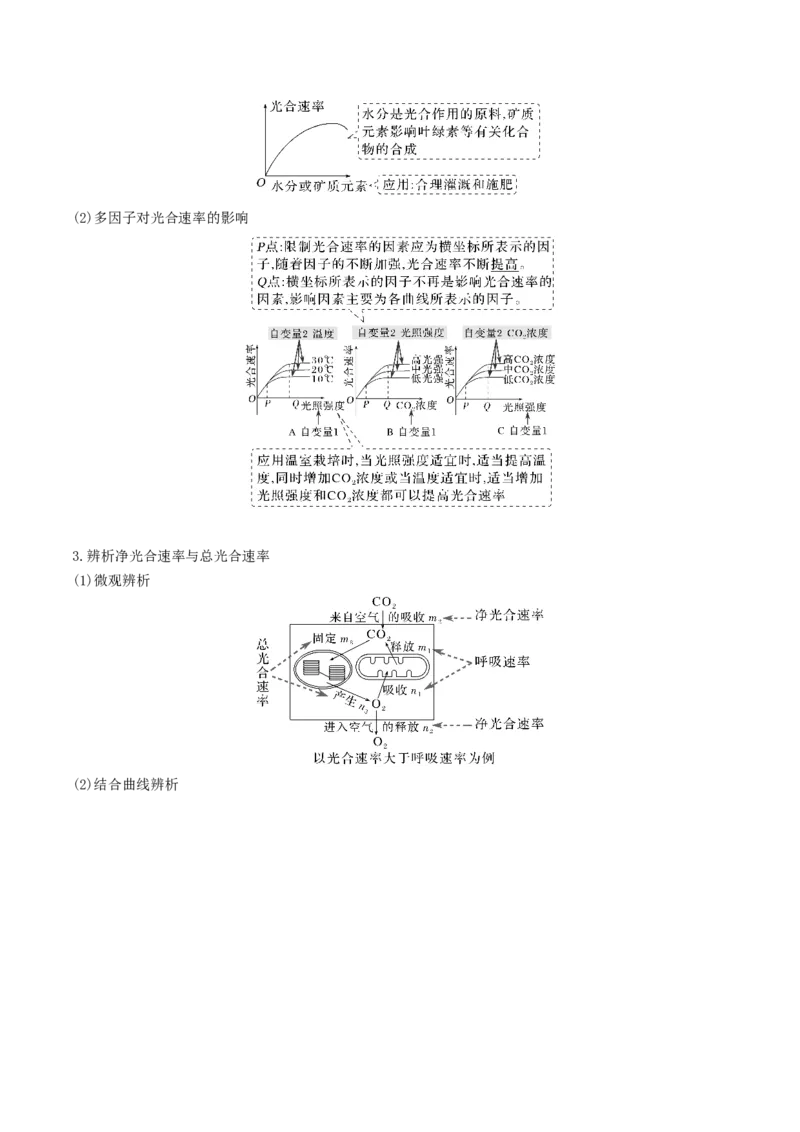 专题03细胞的能量供应和利用（原卷版）_新高考复习资料_2024年新高考复习资料_❤专项复习资料_2024年高考生物热点&middot;重点&middot;难点专练（新高考专用）