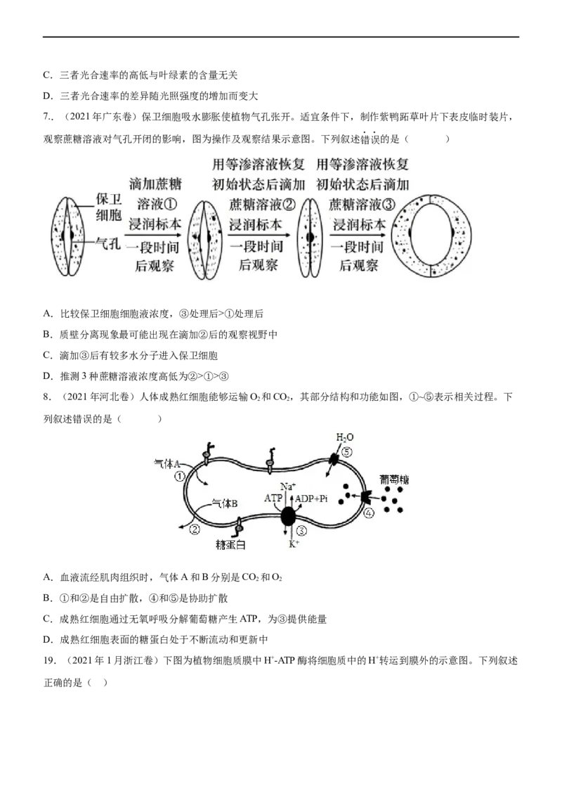 专题04细胞代谢（练）-2023年高考生物二轮复习讲练测（全国通用）（原卷版）_通用版（老高考）复习资料_2023年复习资料_二轮复习_2023年高考生物二轮复习讲练测（全国通用）