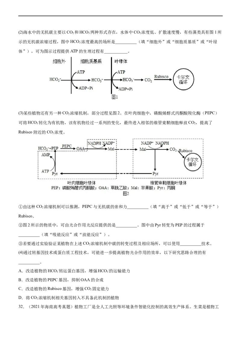 专题04细胞代谢（练）-2023年高考生物二轮复习讲练测（全国通用）（原卷版）_通用版（老高考）复习资料_2023年复习资料_二轮复习_2023年高考生物二轮复习讲练测（全国通用）
