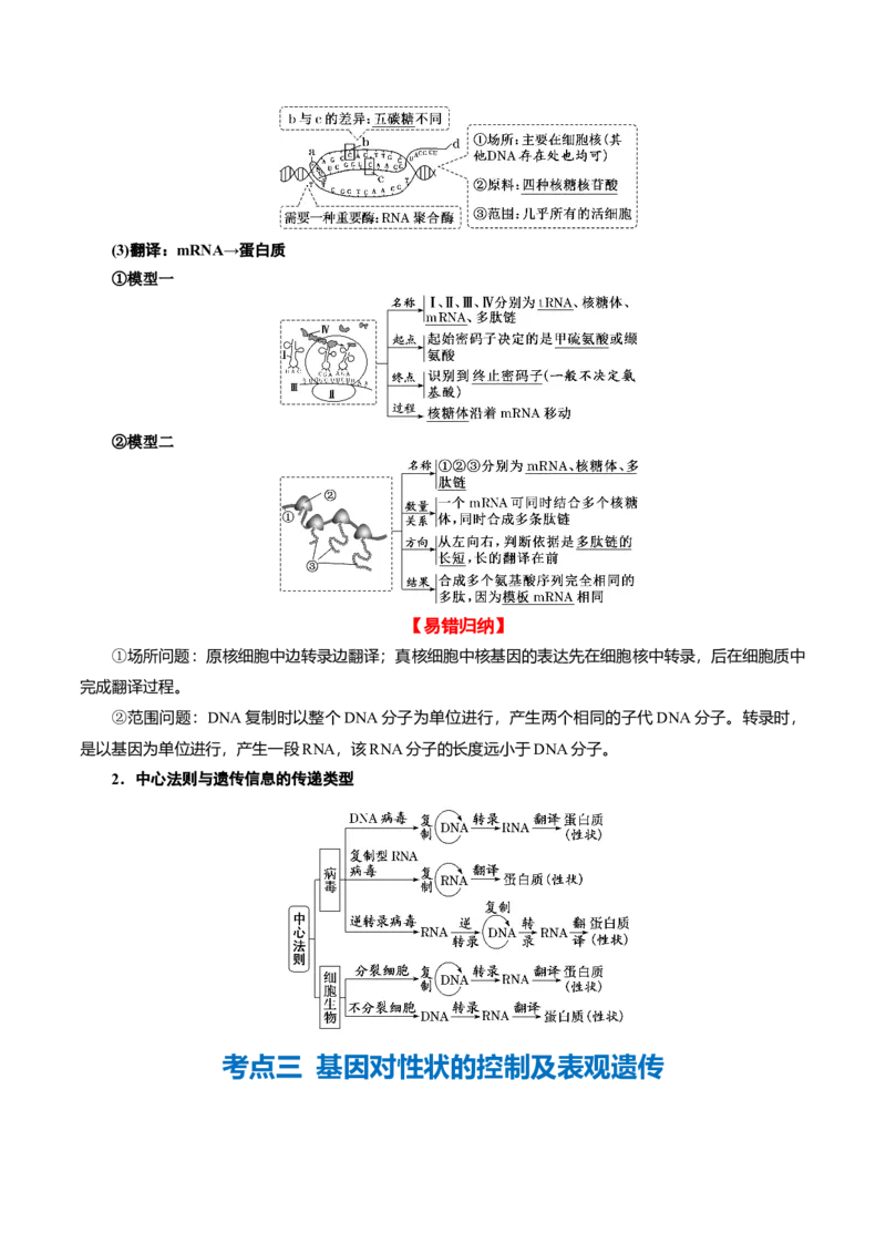 专题05遗传的分子基础（讲义）（原卷版）_新高考复习资料_2024年新高考复习资料_二轮复习资料_高频考点解密2024年高考生物二轮复习高频考点追踪与预测（新高考专用）_讲义